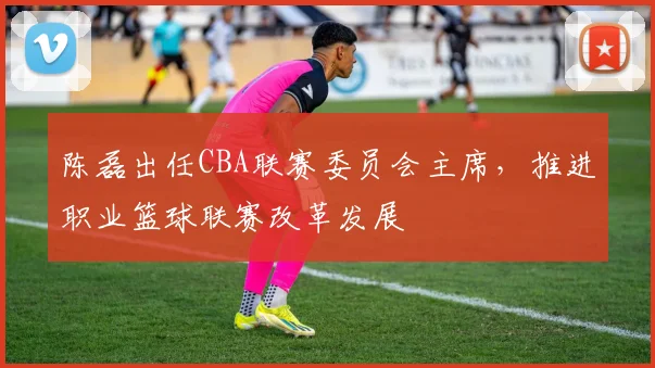 陈磊出任CBA联赛委员会主席,推进职业篮球联赛改革发展