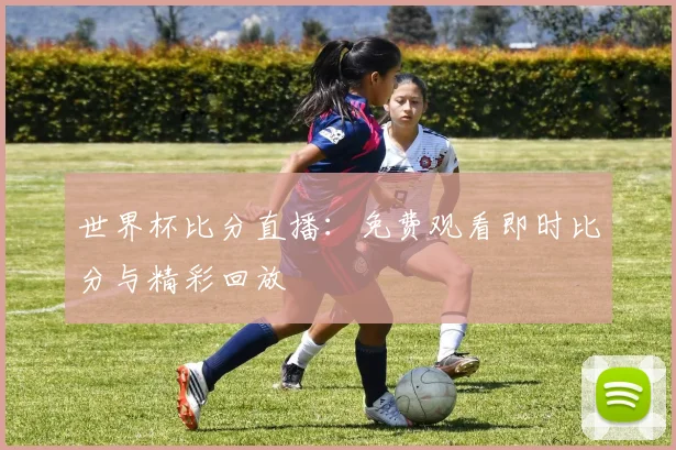 世界杯比分直播：免费观看即时比分与精彩回放