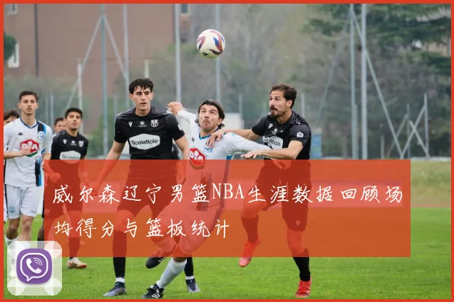 威尔森辽宁男篮NBA生涯数据回顾场均得分与篮板统计
