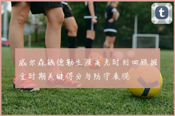 威尔森钱德勒生涯高光时刻回顾掘金时期关键得分与防守表现