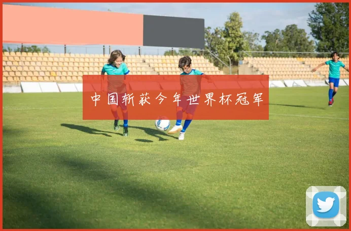 中国斩获今年世界杯冠军