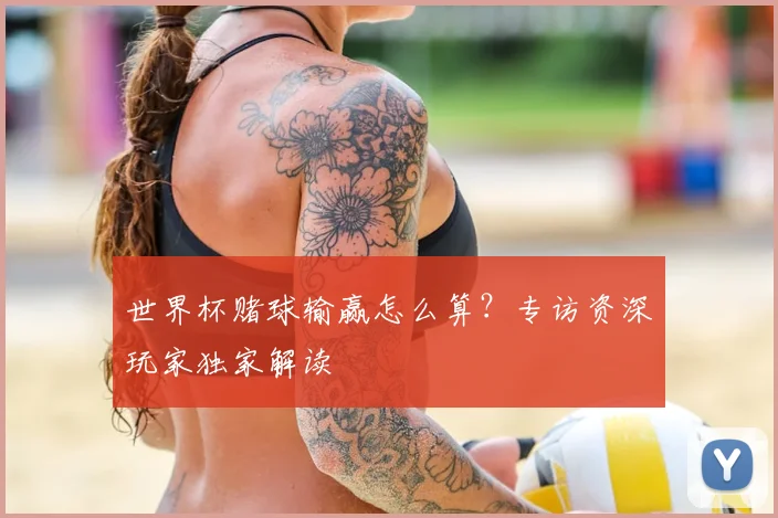 世界杯赌球输赢怎么算?专访资深玩家独家解读
