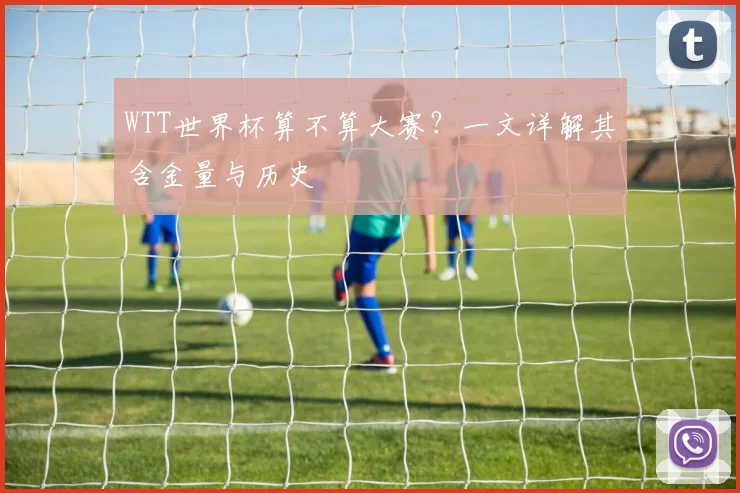WTT世界杯算不算大赛？一文详解其含金量与历史