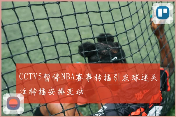 CCTV5暂停NBA赛事转播引发球迷关注转播安排变动