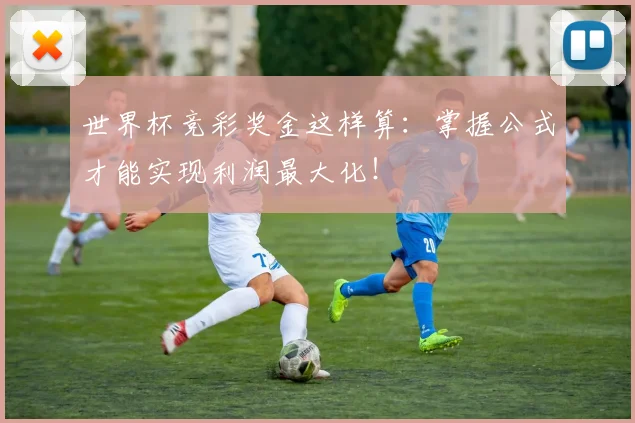 世界杯竞彩奖金这样算：掌握公式才能实现利润最大化！