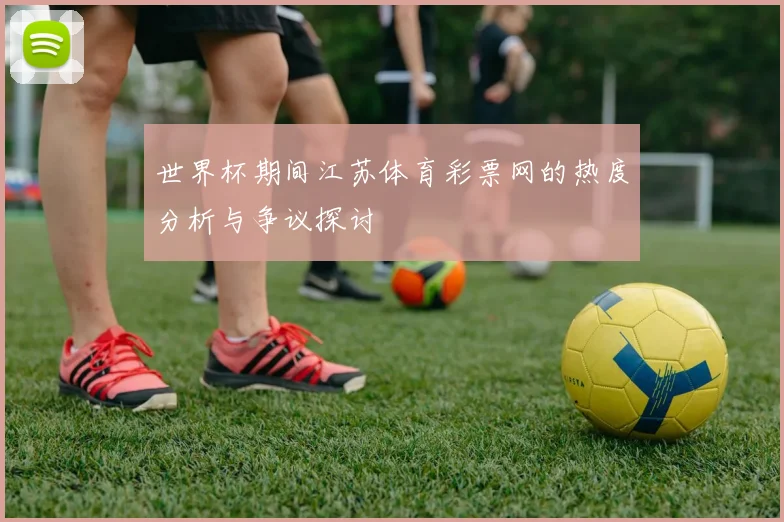 世界杯期间江苏体育彩票网的热度分析与争议探讨