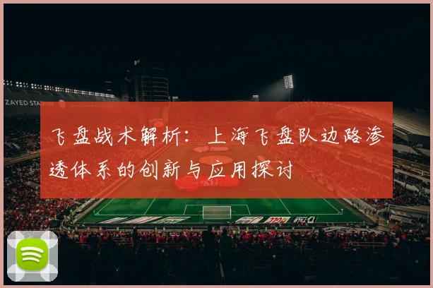 飞盘战术解析：上海飞盘队边路渗透体系的创新与应用探讨