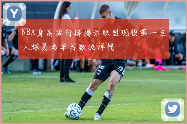 NBA身高排行榜揭示联盟现役第一巨人球员名单与数据详情