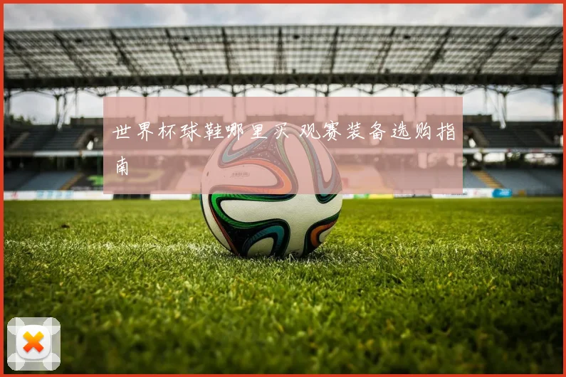 世界杯球鞋哪里买 观赛装备选购指南