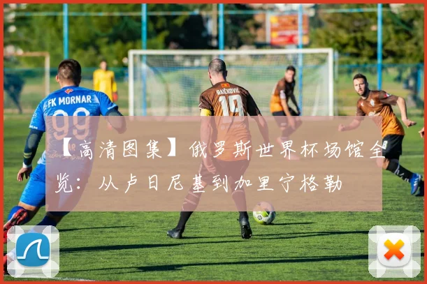 【高清图集】俄罗斯世界杯场馆全览:从卢日尼基到加里宁格勒