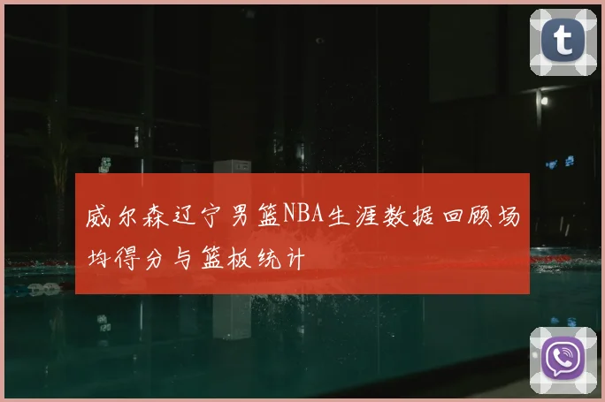 威尔森辽宁男篮NBA生涯数据回顾场均得分与篮板统计